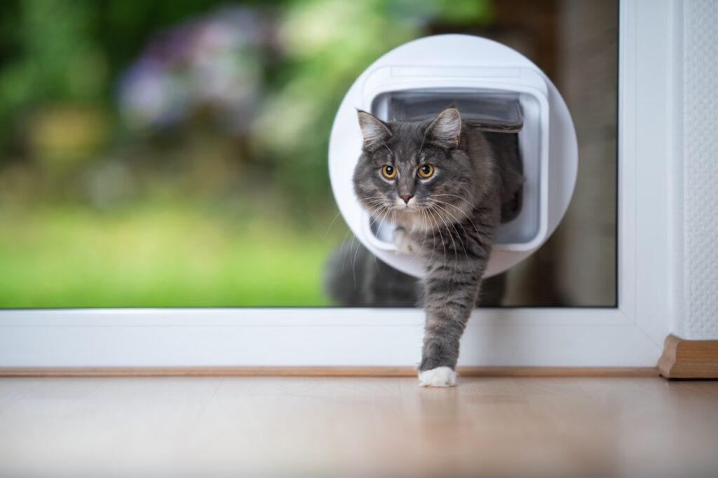 Installing a Cat Flap into Glass and uPVC Doors